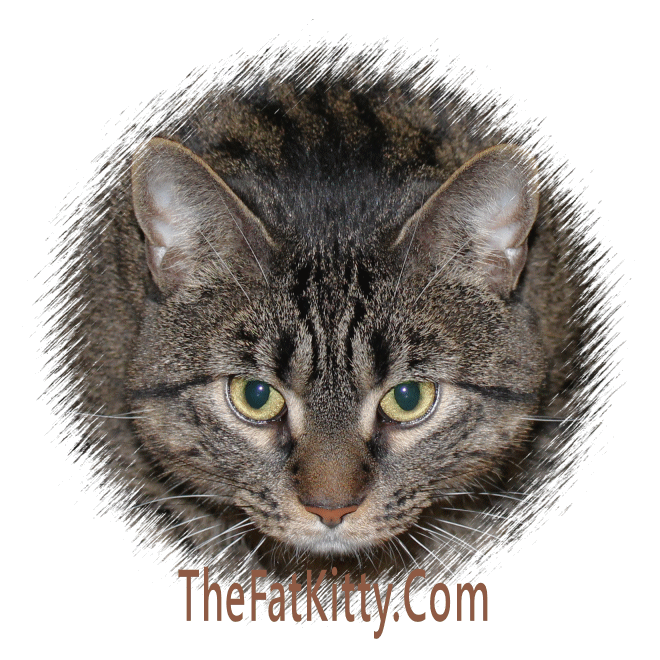 TheFatKitty